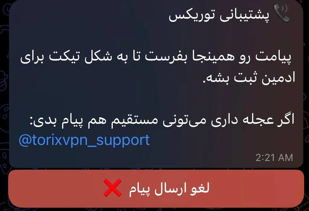 بات Torix VPN - تصویر 3